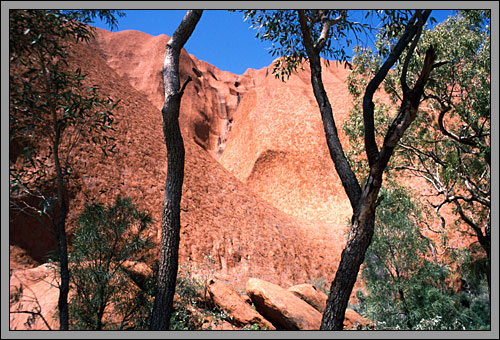 Uluru mit Bäumen